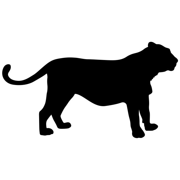 白色背景上美丽的美洲虎剪影图片下载