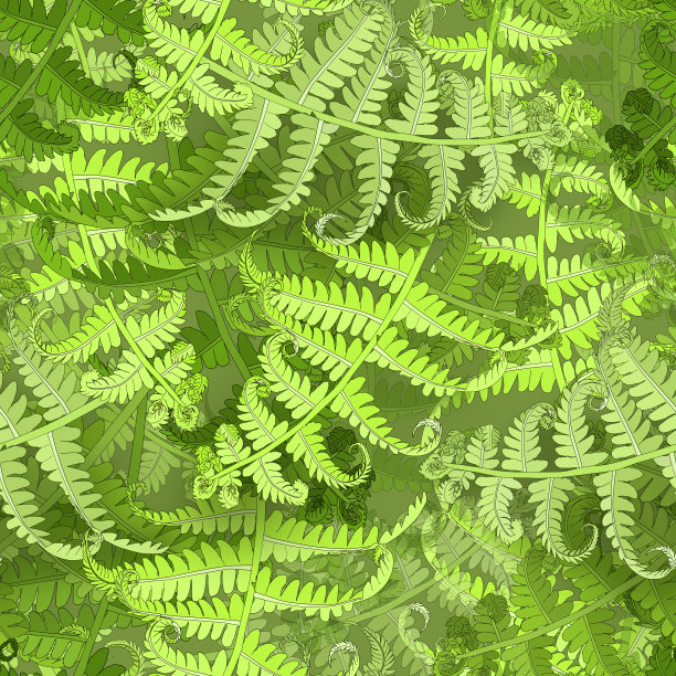 无缝模式与绿色蕨叶。图片下载