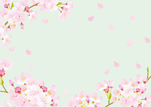 樱花水彩铅笔插图背景。图片下载