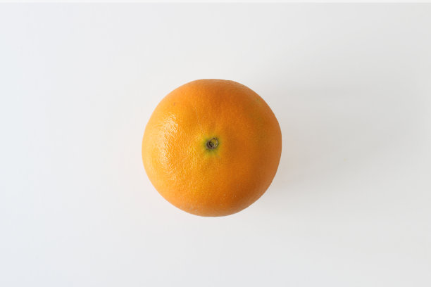 橙色果实孤立在白色背景上。柑橘概念概念。图片下载