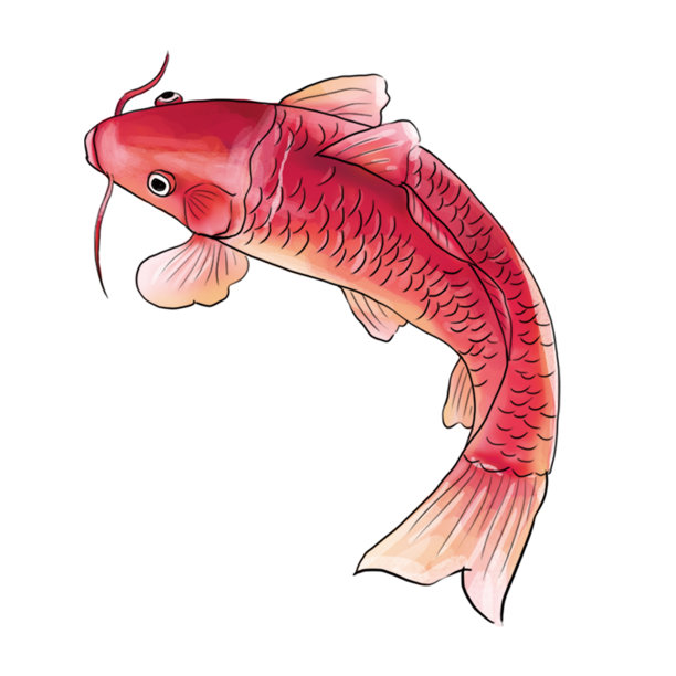 吉祥红锦鲤水彩画图片下载