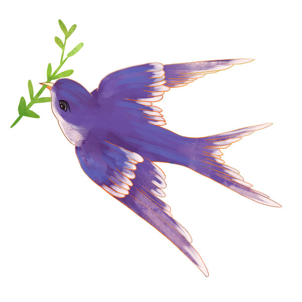 这是一幅水彩画，画的是飞鸟，嘴里衔着紫色的小树苗图片下载