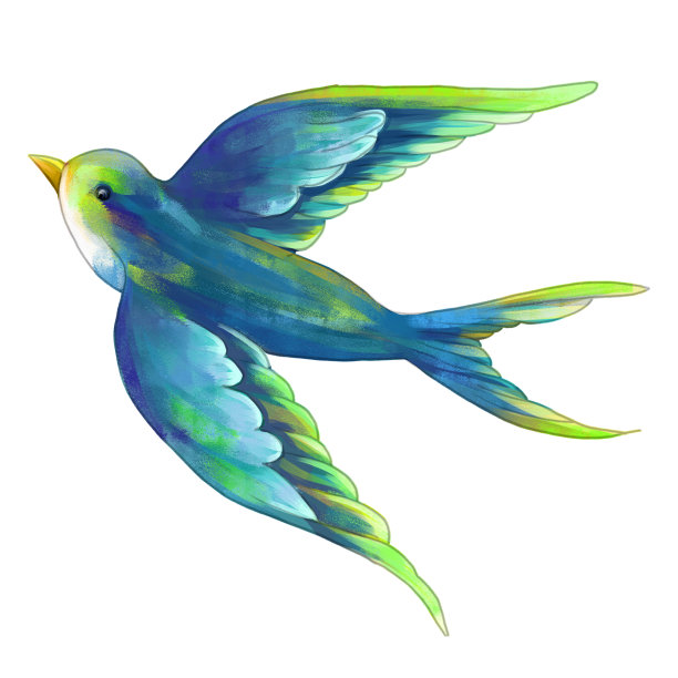 水彩画的鸟类飞行与蓝绿色的羽毛图片下载
