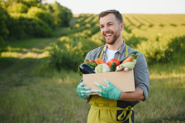 农民提着一箱采摘的蔬菜图片下载