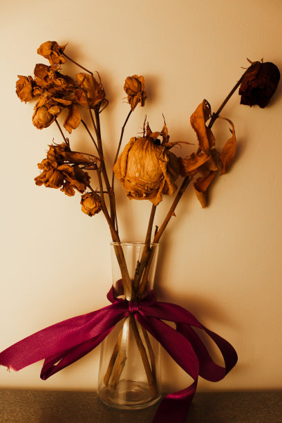 干燥的花图片下载