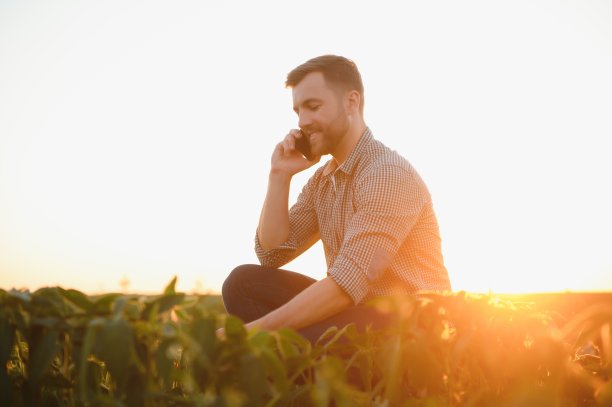 农民农学家在大豆田检查作物。有机食品生产与种植。图片下载