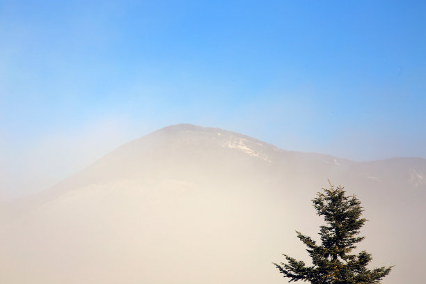 意大利阿布鲁佐的罗卡拉索，一棵冷杉树背对着光秃秃的山，天空湛蓝，雾的最后一丝痕迹图片下载