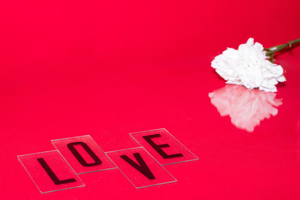 用黑色大写字母写的“爱”字，红色背景上的白色康乃馨，是情人节的礼物图片下载