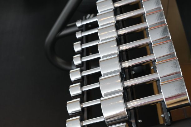 架子上有许多银色哑铃图片下载