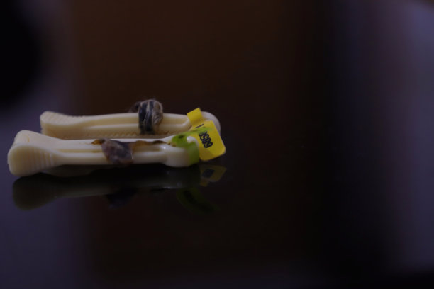 我记得带有小段脐带的手术钳图片下载