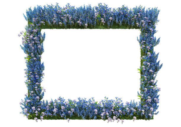 3D渲染花框架在白色背景图片下载