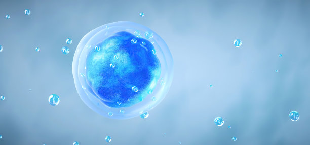 人类细胞或胚胎干细胞显微镜背景的3D渲染图片下载