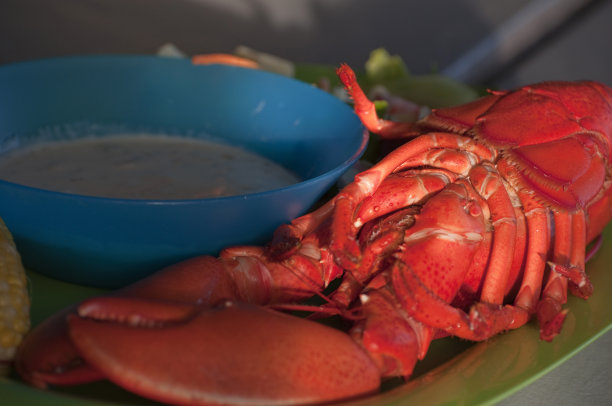 新鲜的缅因州龙虾配沙拉和奶油图片下载