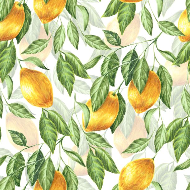 无缝模式的柠檬和树叶孤立在白色，手绘标记插图图片下载