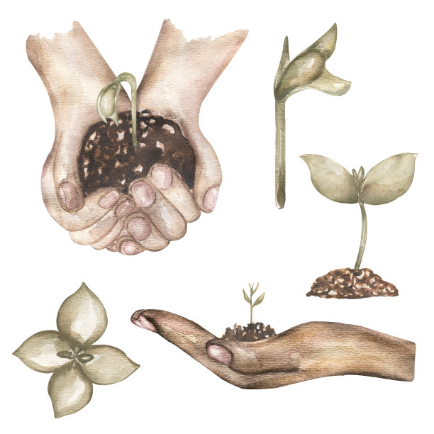 园艺剪贴画，水彩复古种植时间Diy剪贴画，植物生命周期，生物剪贴画，种子剪贴画，女孩手插画，生态农舍图片下载