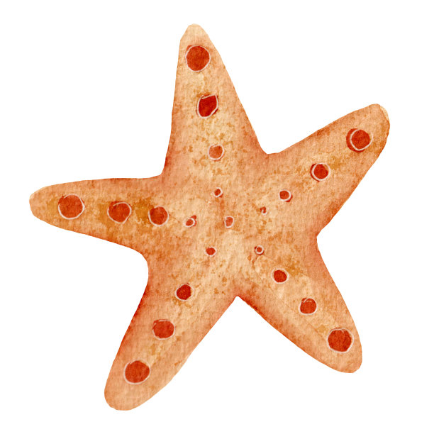 Сute watercolor element, bright starfish isolated on a white background.图片下载