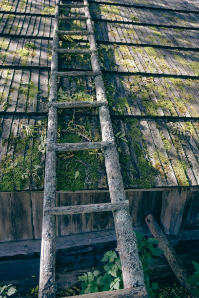 有苔藓的木屋顶上的木梯图片下载