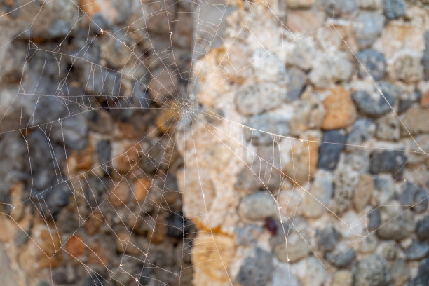 石头背景上的蜘蛛网。背景，图案，纹理。图片下载