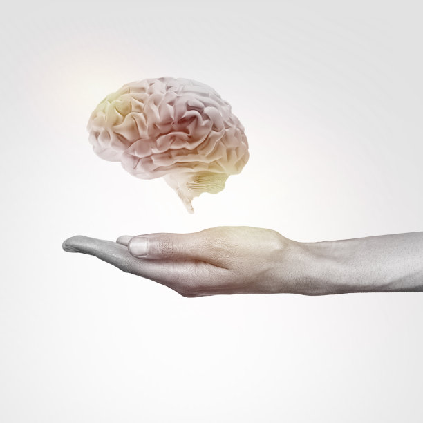 一个大脑图片下载