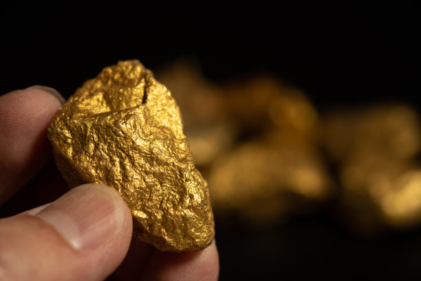 一个矿工的手拿着一块从矿里挖出来的纯金，在黑色背景上仔细检查。图片下载