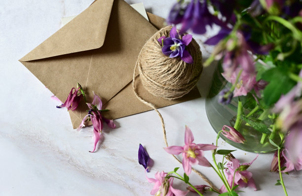 粉红色和蓝色的花，明信片，牛皮纸，麻绳。布局妇女节或母亲节，情人节，平，俯视图。图片下载