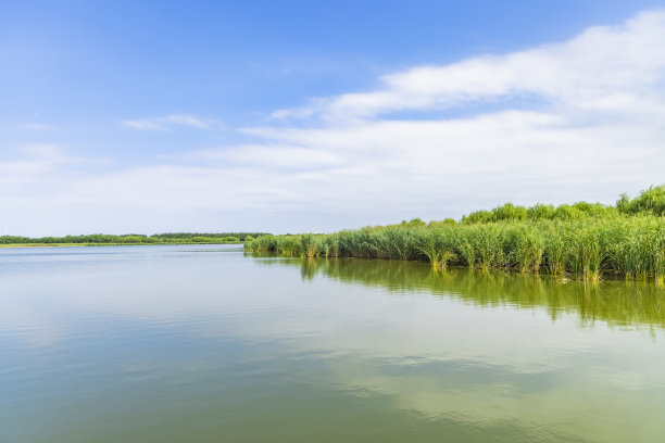 天津郊野公园的景色图片下载