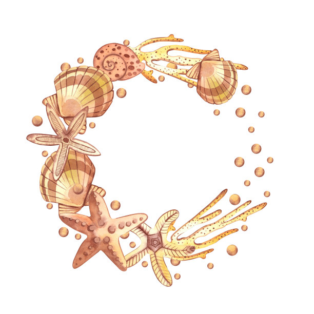 白底米色的贝壳、珊瑚和海星组成的花环。所有的元素都是手绘水彩。适用于印刷、设计、包装、图书图片下载