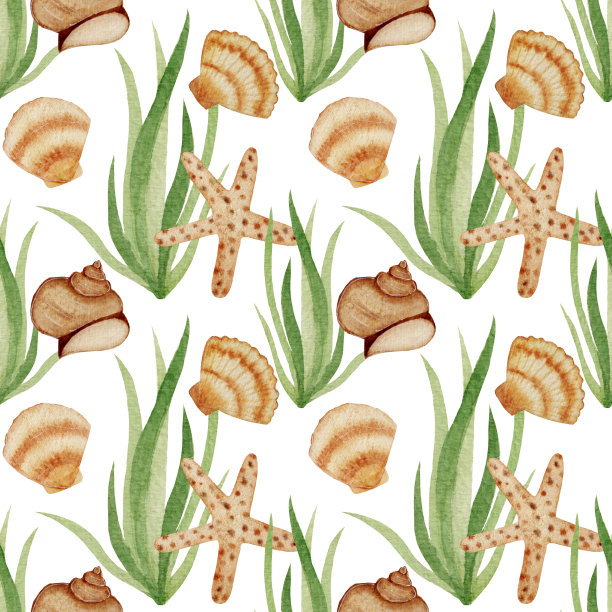 水彩海图案与贝壳，海星和海藻在白色背景。图片下载