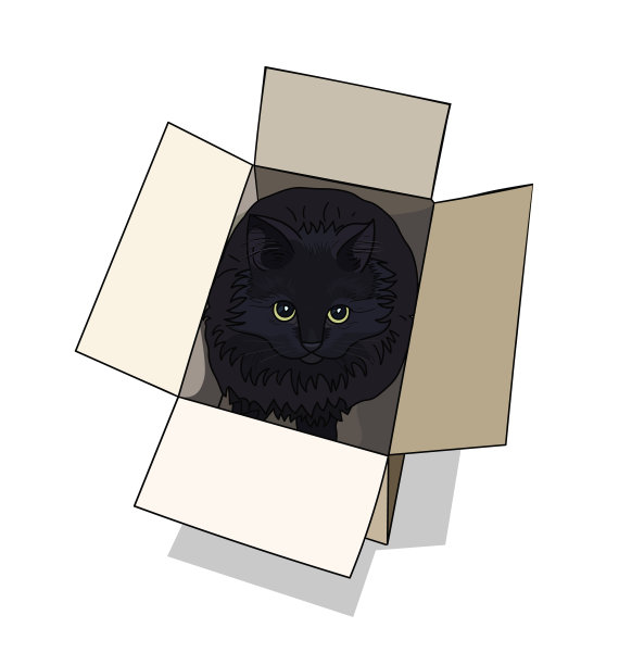 一只黄色大眼睛的有趣的黑猫坐在一个纸板箱里。矢量插图，白色背景，隔离。薛定谔猫的概念，经验和量子物理的悖论。图片下载