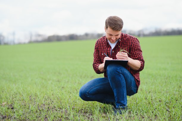 一位年轻的农民在田里检查麦芽的质量。农业的概念图片下载