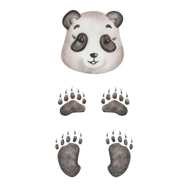 水彩插图。手绘黑白熊猫熊。卡通动物的头和爪子。动物的特征图片下载
