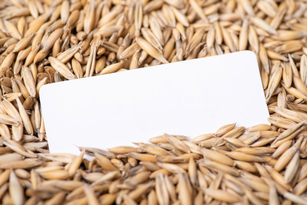 燕麦粒上的白色白纸图片下载