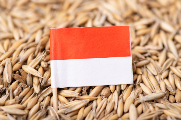 印在燕麦粒上的印尼国旗图片下载