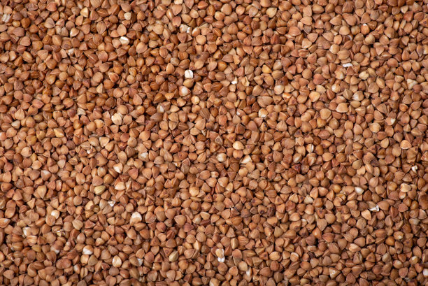 自上而下的荞麦背景图片下载