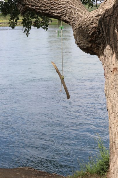 无忧无虑的夏日时光的照片，绳子秋千系在河边的一棵树上图片下载