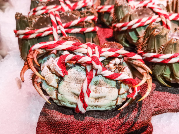 中国南部广东省江门市超市出售的大闸蟹、中华绒螯蟹。图片下载