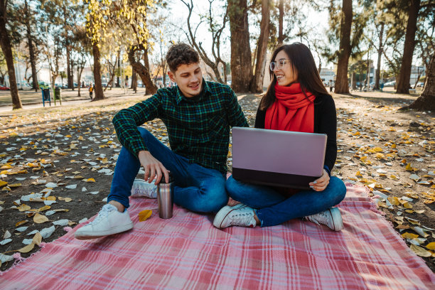 年轻夫妇使用笔记本电脑在户外工作图片下载