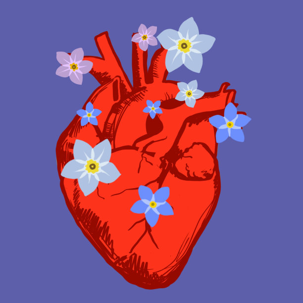 心与花。圣瓦伦丁节图片下载