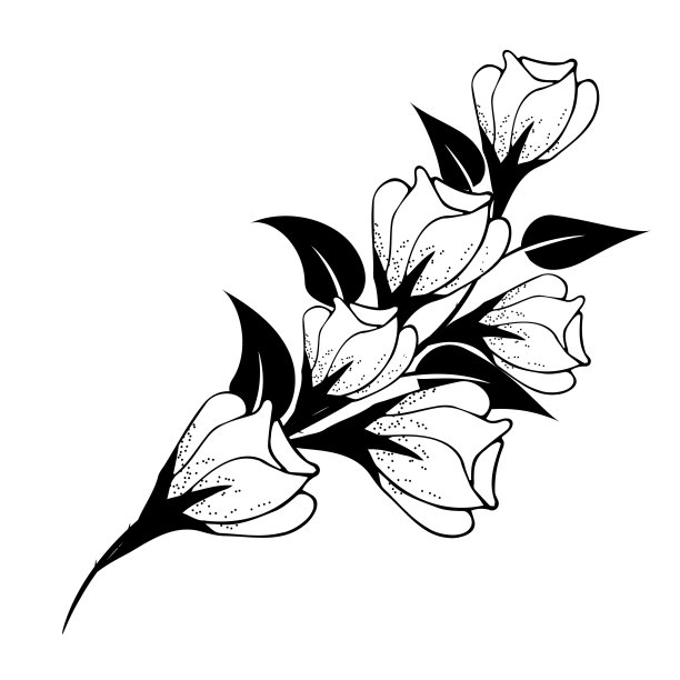 花卉成分是精致的，花卉背景与精致的花朵和枝条的芽。手绘。用于程式化的装饰，邀请，卡片，海报，传单，背景，如剪贴画或着色页。图片下载