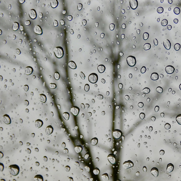 公园里的树和春天的雨滴-抽象的背景图片下载