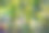 公园植物园中带沙漠刺的仙人掌绿色植物图片下载