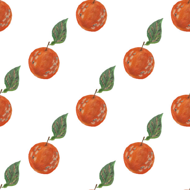 枝上有橙和橙。水彩插图。无缝模式图片下载