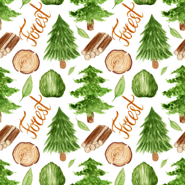 明亮的水彩自然图案，森林元素，白色背景上的绿色树木。图片下载