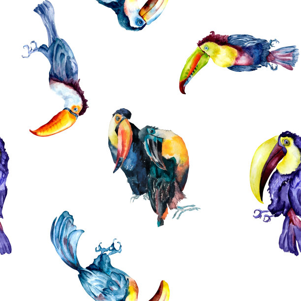 巨嘴鸟异国情调的热带鸟类水彩无缝图案在白色背景。图片下载
