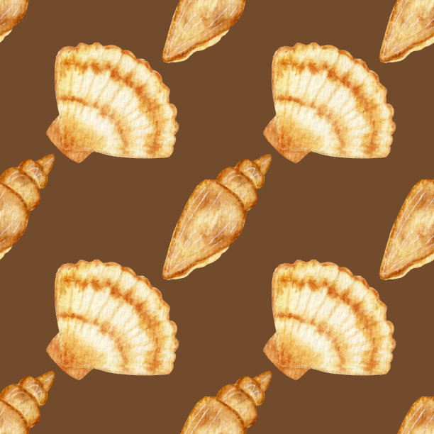 无缝水彩图案，夏日风格。棕色背景上贝壳图案。图片下载