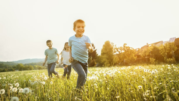 孩子们在草地上玩耍图片下载