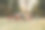 一群男孩和女孩有一个好玩的nerf枪战图片下载