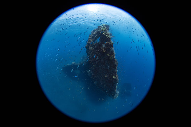 水下艺术图片下载