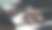 计算的概念。大数据分析和商业智能概念与图表和图形图标的数字屏幕界面从笔记本电脑。图片下载