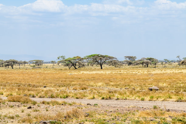 坦桑尼亚恩戈罗恩戈罗保护区的美丽风景图片下载